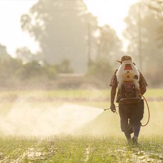 Processi di Lavorazione Eco-Friendly